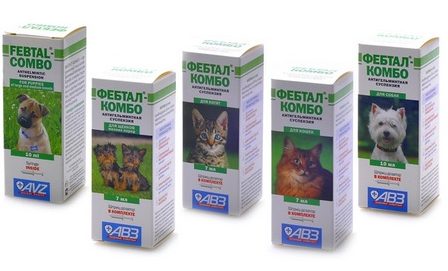 Сколько действует таблетка от глистов для кошек