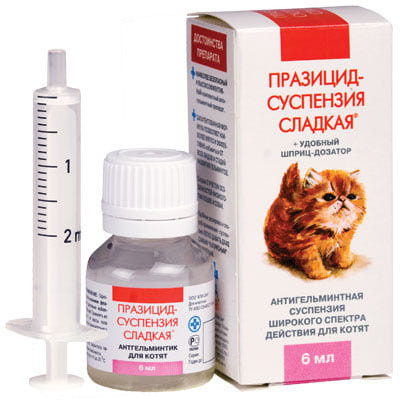 Сколько действует таблетка от глистов для кошек thumbnail